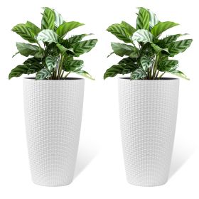 Set of 2 Faux Rattan Tall Planters Outdoor Indoor Large Planters with Water Level Monitor Inner Bucket, Automatic Watering
